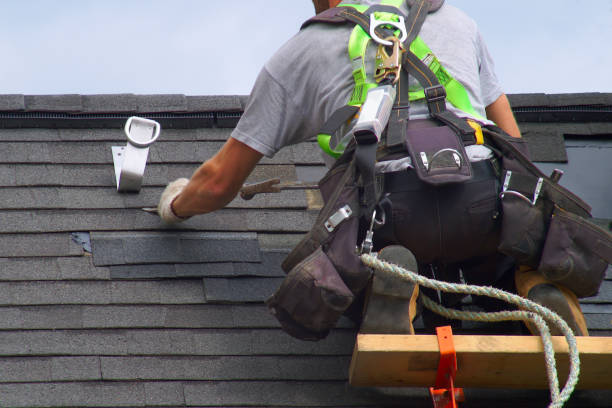 Roof Gutter Cleaning in Bellville, TX